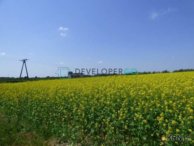 Działki  na sprzedaż, Karczmiska Drugie, ul. , 