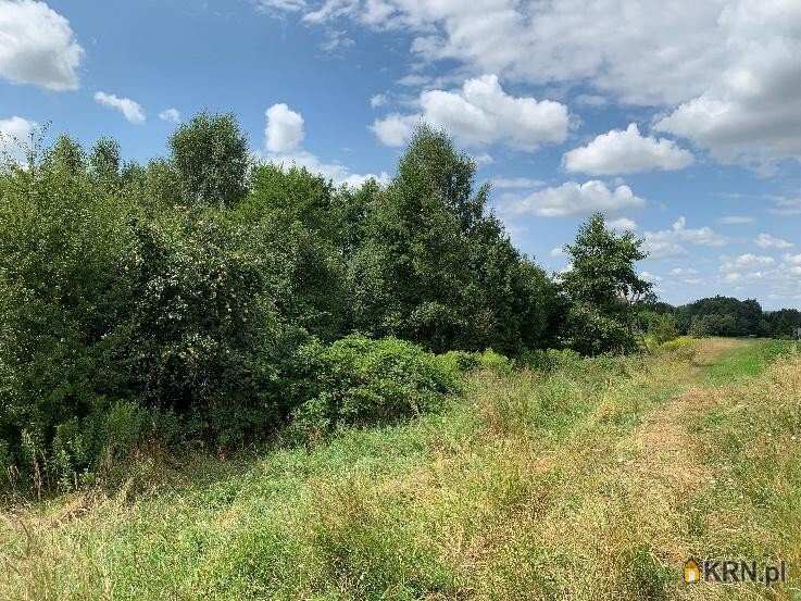 Działki  na sprzedaż, Zaczarnie, ul. , 