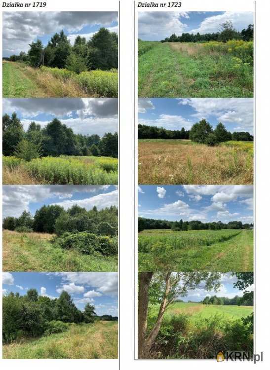 Działki  na sprzedaż, , Zaczarnie, ul. 