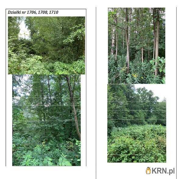 Zaczarnie, ul. , Działki  na sprzedaż, 