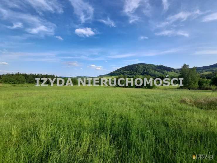 Działki  na sprzedaż, Łomnica, ul. , 