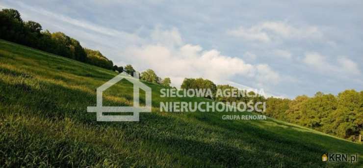 Działki  na sprzedaż, , Wilkowo Nowowiejskie, ul. 