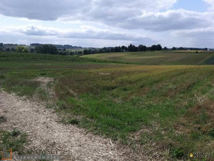 Działki  na sprzedaż, , Łososkowice, ul. 