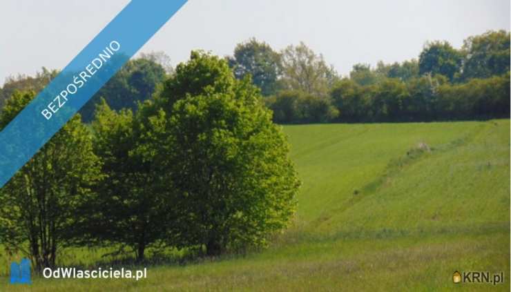 Działki  na sprzedaż, , Woźniki, ul. 