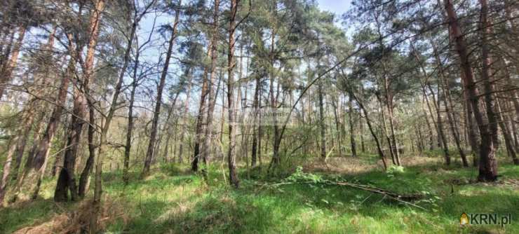 Działki  na sprzedaż, , Mrozów, Wojnowice, ul. Słoneczna