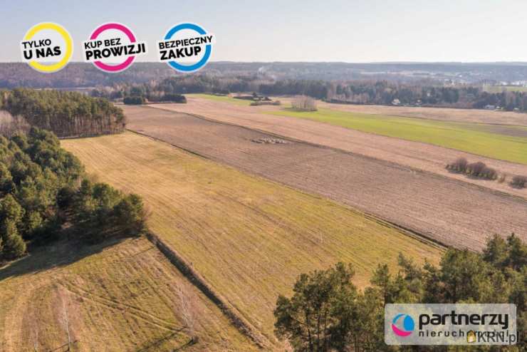 Działki  na sprzedaż, Zwierzewo, ul. , 