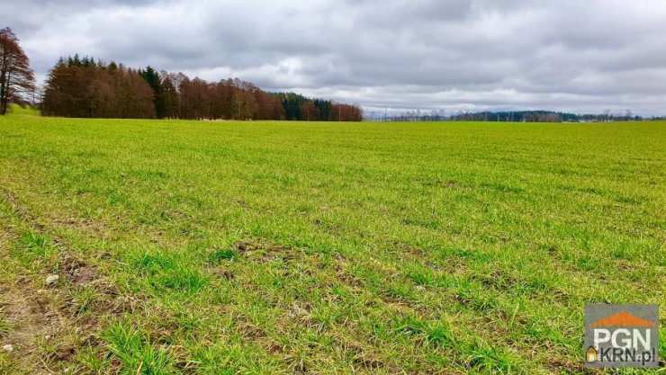 Działki  na sprzedaż, , Gryfice, ul. 