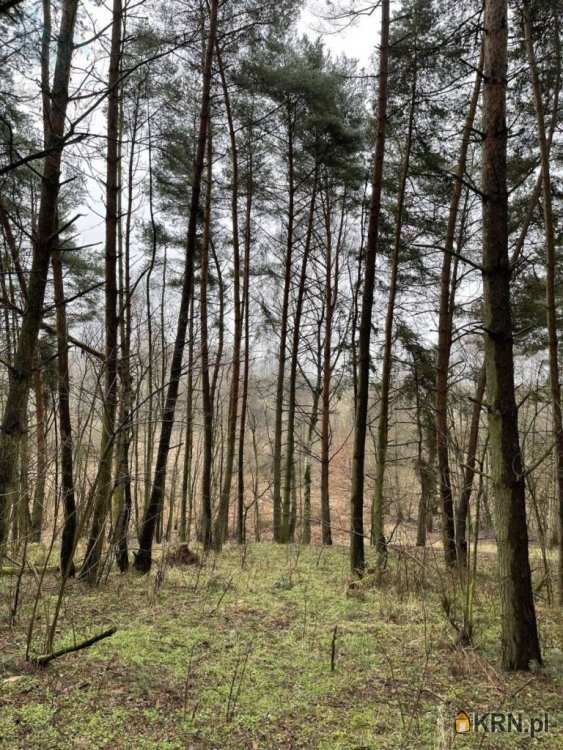 Lutom, ul. , , Działki  na sprzedaż