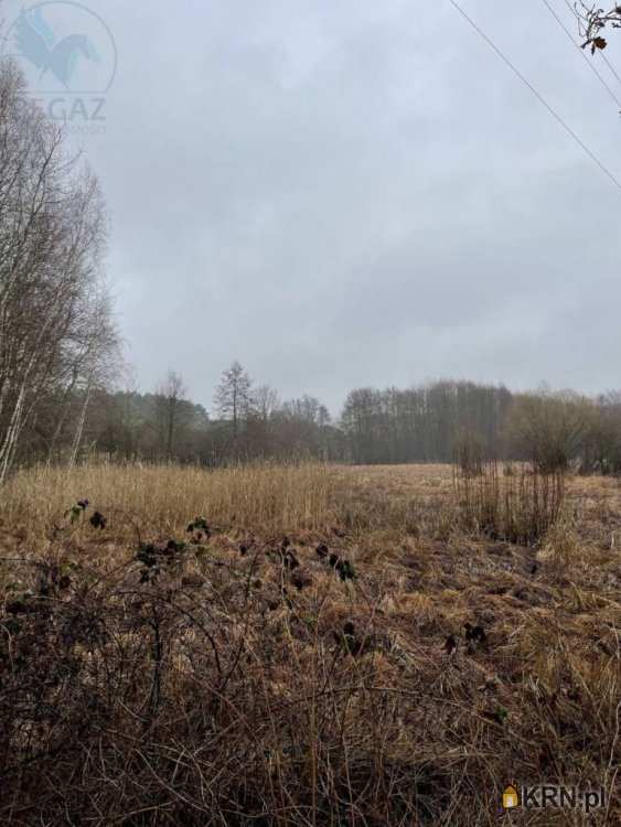 , Działki  na sprzedaż, Lutom, ul. 