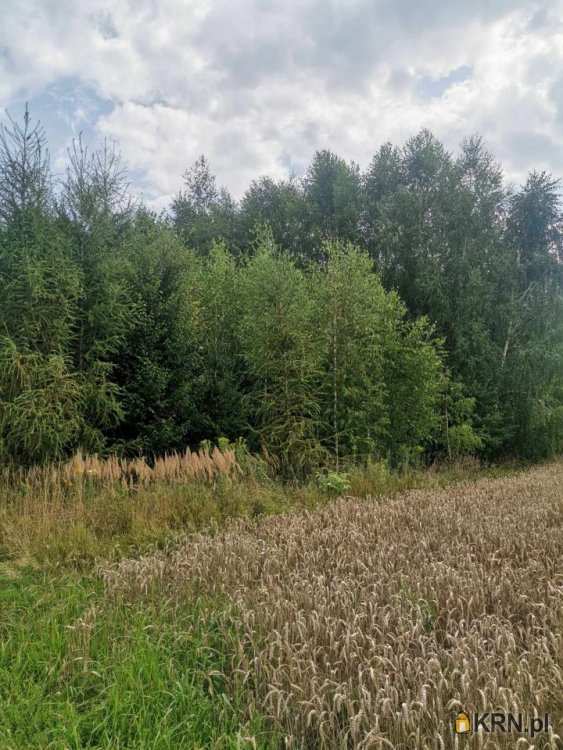 Działki  na sprzedaż, , Jarosław, ul. Matusza