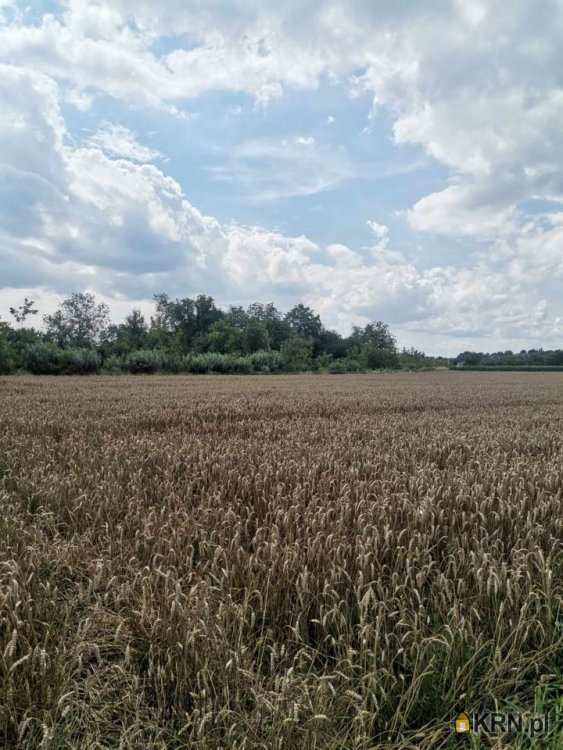 Jarosław, ul. Matusza, Działki  na sprzedaż, 