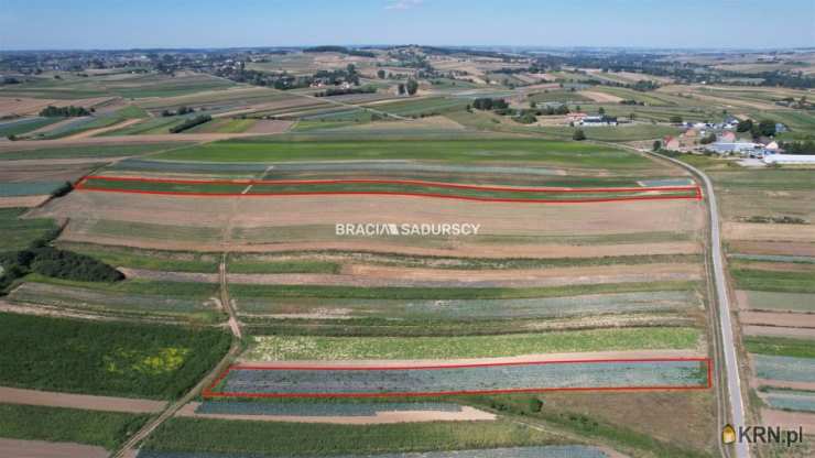 BRACIA SADURSCY NIERUCHOMOŚCI ODDZIAŁ BS5 NOWA HUTA, Działki  na sprzedaż, Proszowice, ul. Krakowska