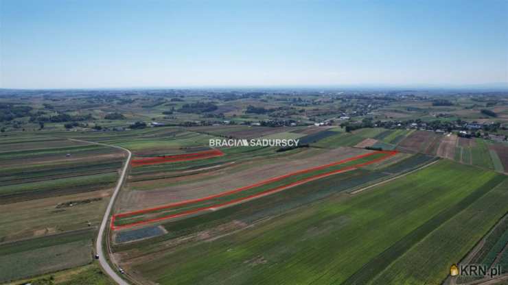 Działki  na sprzedaż, , Proszowice, ul. Krakowska