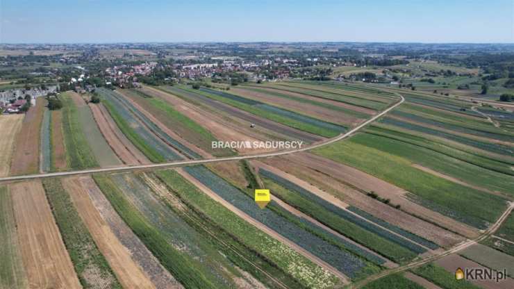 Proszowice, ul. Krakowska, Działki  na sprzedaż, 