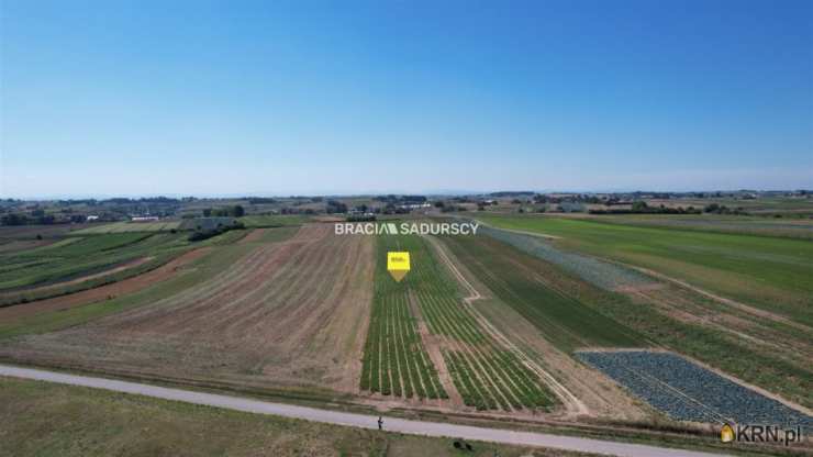 BRACIA SADURSCY NIERUCHOMOŚCI ODDZIAŁ BS5 NOWA HUTA, Działki  na sprzedaż, Proszowice, ul. Krakowska