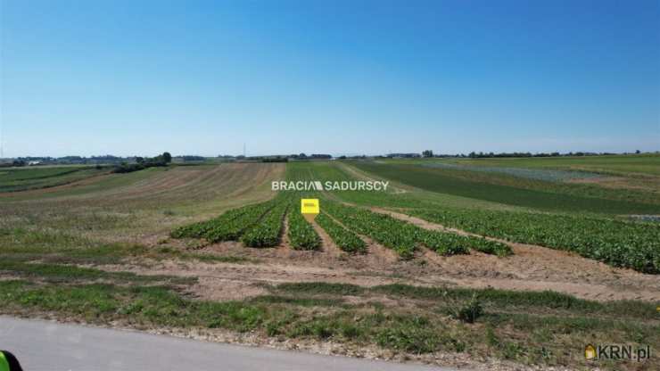 Działki  na sprzedaż, Proszowice, ul. Krakowska, 