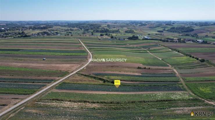, Proszowice, ul. Krakowska, Działki  na sprzedaż