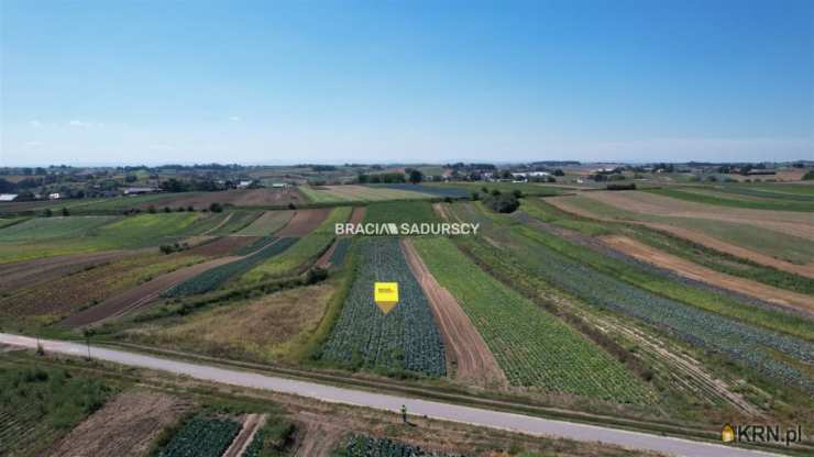 Działki  na sprzedaż, , Proszowice, ul. Krakowska