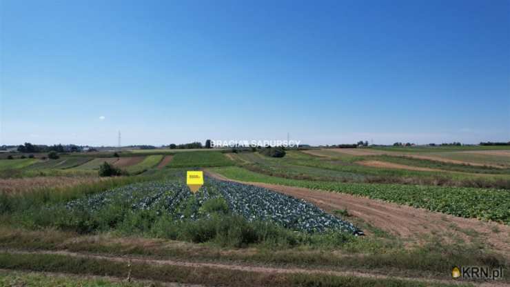Proszowice, ul. Krakowska, Działki  na sprzedaż, 