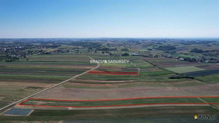 Proszowice, ul. Krakowska, , Działki  na sprzedaż