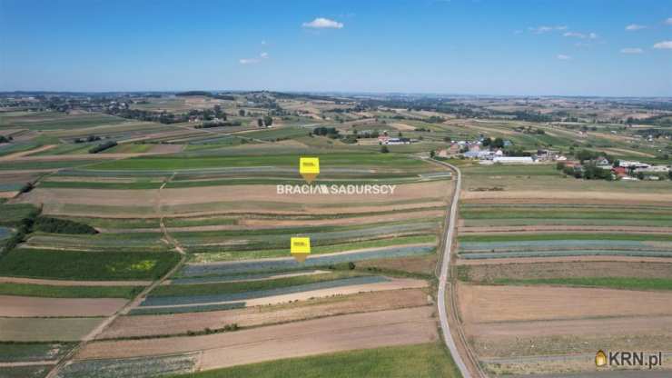 Działki  na sprzedaż, , Proszowice, ul. Krakowska