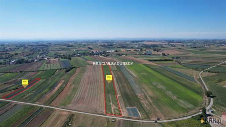 Proszowice, ul. Krakowska, , Działki  na sprzedaż