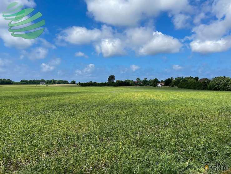 , Działki  na sprzedaż, Łącko, ul. 