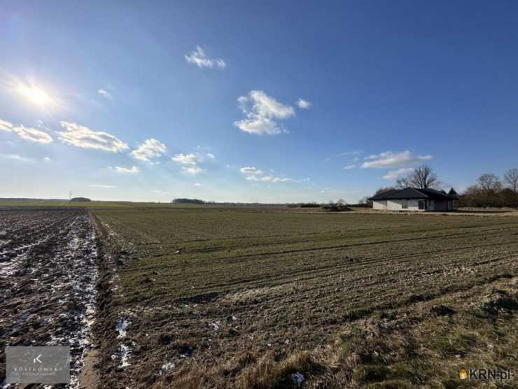 Koza Wielka, ul. , Działki  na sprzedaż, 