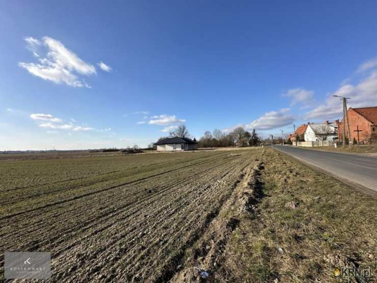, Koza Wielka, ul. , Działki  na sprzedaż
