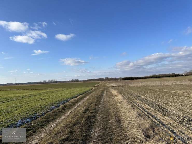 Kosikowski Nieruchomości, Działki  na sprzedaż, Koza Wielka, ul. 