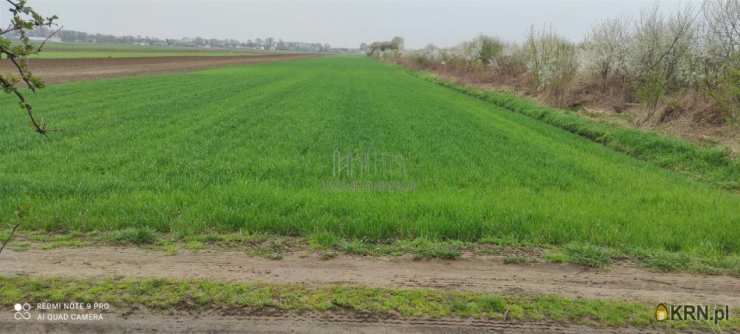 , Działki  na sprzedaż, Opacz, ul. 