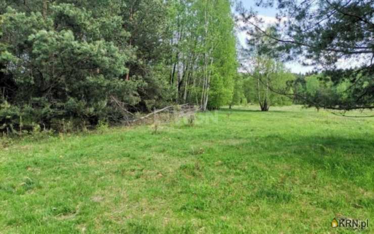 Działki  na sprzedaż, , Dąbrowa, ul. 