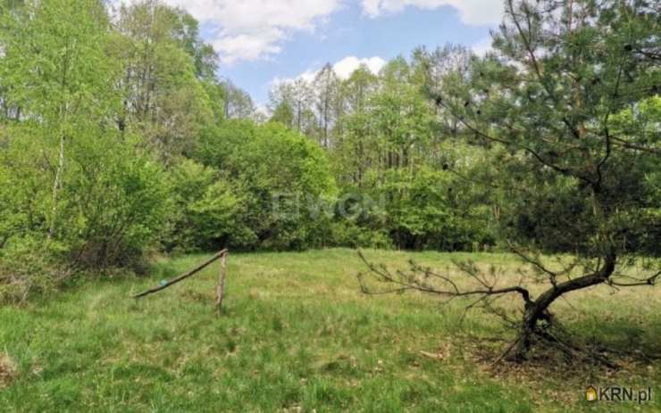 , Działki  na sprzedaż, Dąbrowa, ul. 