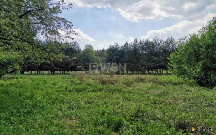 Działki  na sprzedaż, Dąbrowa, ul. , 