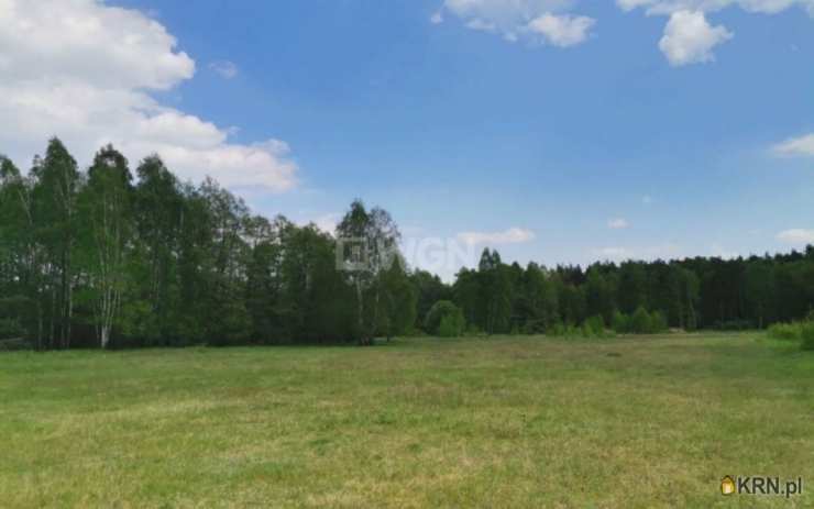 , Dąbrowa, ul. , Działki  na sprzedaż