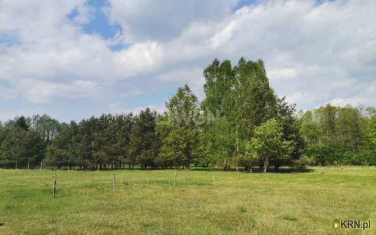 Polkowice Biuro - Agencja Nieruchomości WGN, Działki  na sprzedaż, Dąbrowa, ul. 