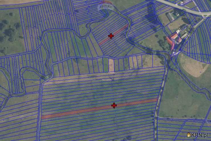 , Działki  na sprzedaż, Dział, ul. 