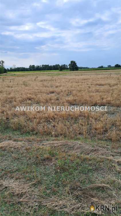 , Działki  na sprzedaż, Grądy, ul. 