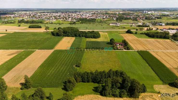 Płonka Kościelna, ul. , , Działki  na sprzedaż