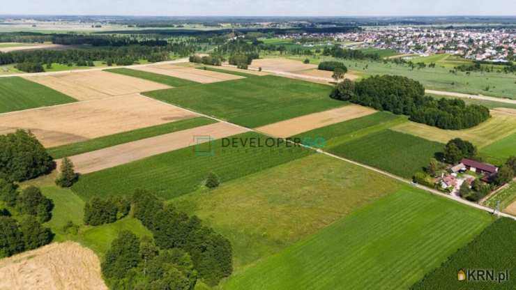 , Płonka Kościelna, ul. , Działki  na sprzedaż