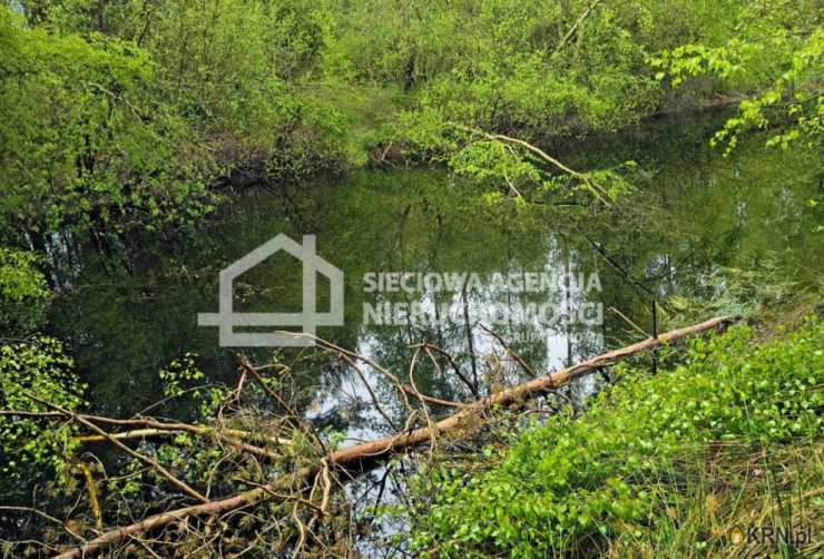 Działki  na sprzedaż, Kobylasz, ul. , 