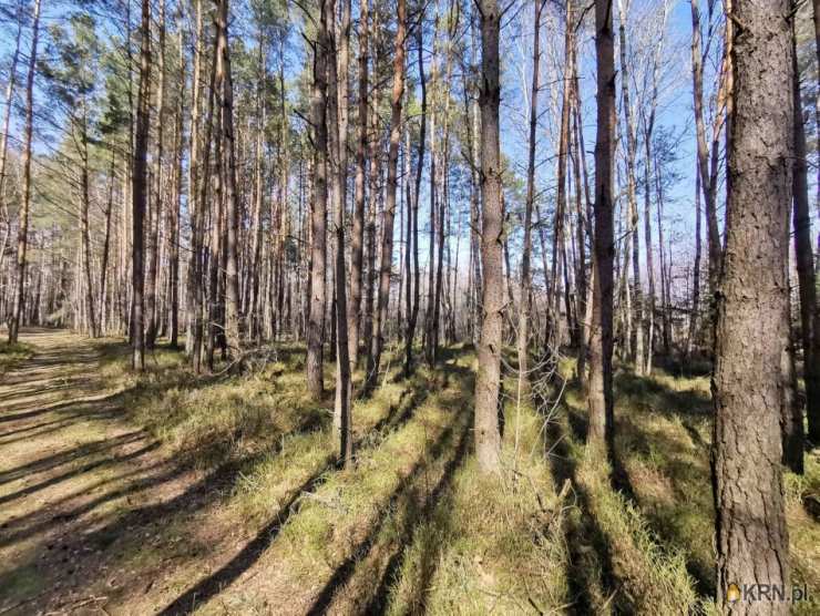 Działki  na sprzedaż, Kobiele Wielkie, ul. , 