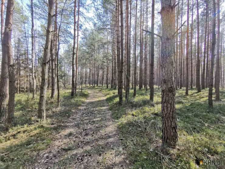 Działki  na sprzedaż, , Kobiele Wielkie, ul. 