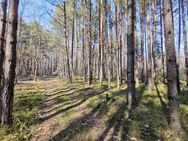 Kobiele Wielkie, ul. , Działki  na sprzedaż, 