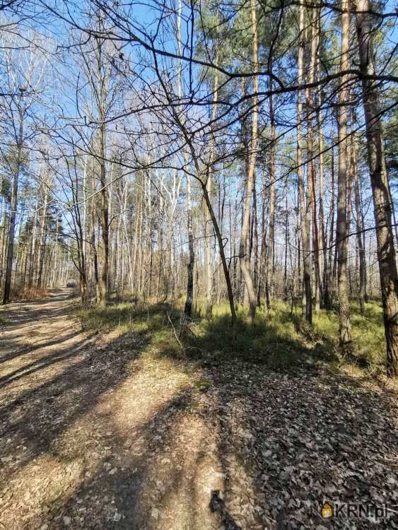 , Kobiele Wielkie, ul. , Działki  na sprzedaż