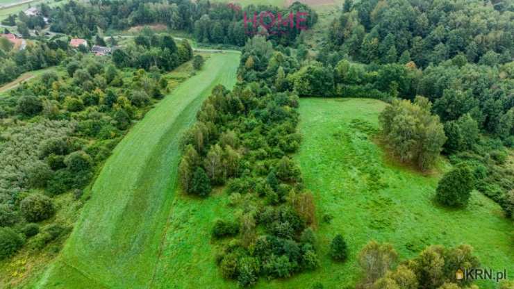 Działki  na sprzedaż, , Nowy Borek, ul. 