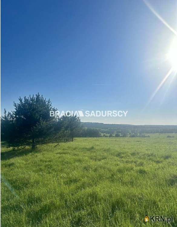 Rokitno Szlacheckie, ul. , , Działki  na sprzedaż