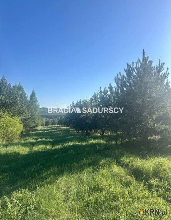 BRACIA SADURSCY NIERUCHOMOŚCI ODDZIAŁ BS5 NOWA HUTA, Działki  na sprzedaż, Rokitno Szlacheckie, ul. 