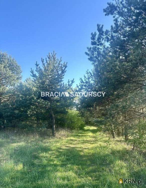 , Rokitno Szlacheckie, ul. , Działki  na sprzedaż