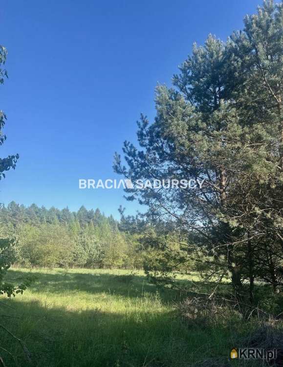 , Działki  na sprzedaż, Rokitno Szlacheckie, ul. 